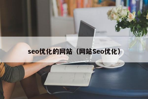 seo優(yōu)化的網站（網站Seo優(yōu)化）