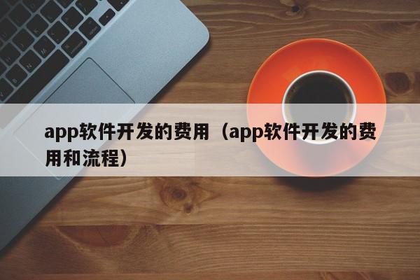 app軟件開發(fā)的費用（app軟件開發(fā)的費用和流程）