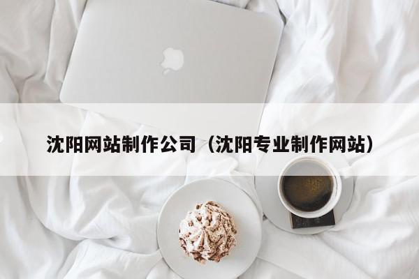 沈陽(yáng)網(wǎng)站制作公司（沈陽(yáng)專業(yè)制作網(wǎng)站）