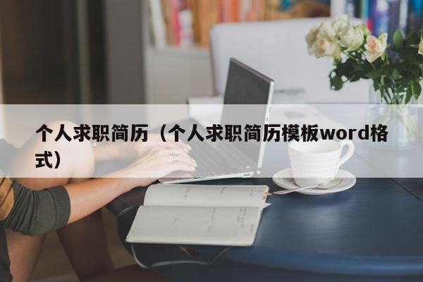 個(gè)人求職簡歷（個(gè)人求職簡歷模板word格式）